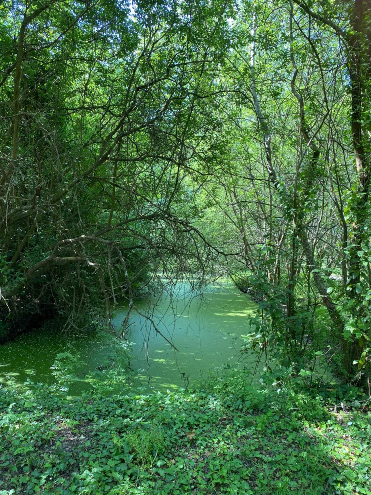 Maison Neuve Zone Coulee Verte Menant A L'Ocean Saint Gilles Croix de vie Kültér fotó